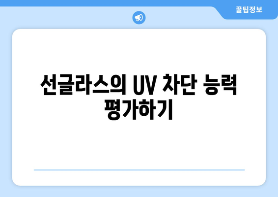 선글라스의 UV 차단 효과 이해하기