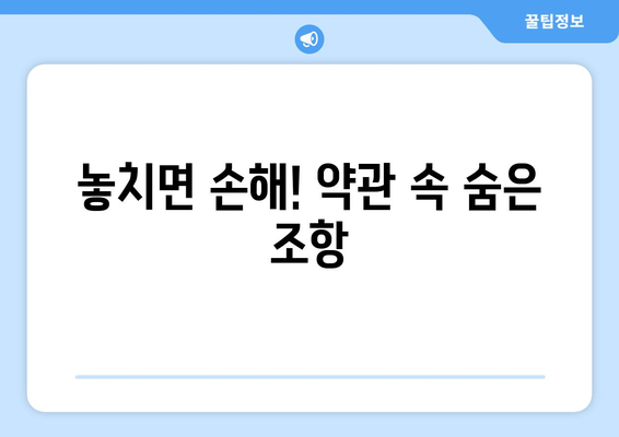 보험 약관 이해하기: 필수 조항 정리