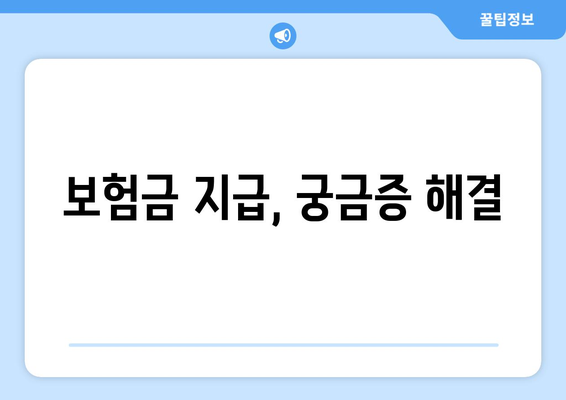 보험금 지급 과정을 이해하는 유용한 정보