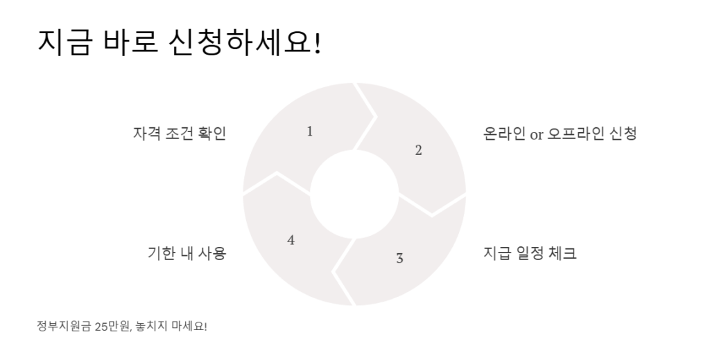 정부지원금 25만원